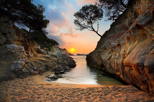 413238_287244251385548_67945552_o