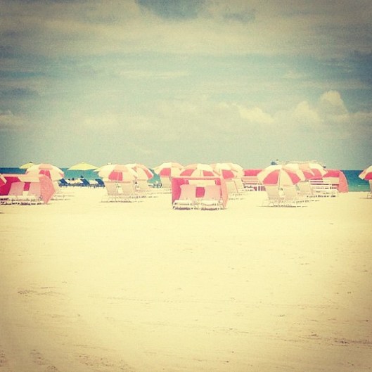 484249_556266836689_2133648761_n